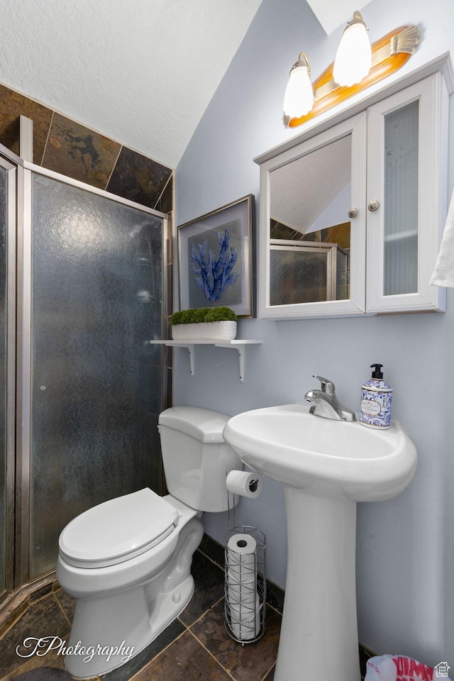 bathroom with toilet, tile patterned floors, a sink, a stall shower, and vaulted ceiling