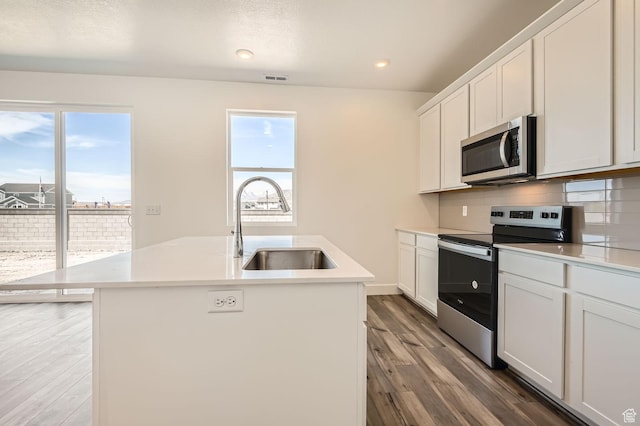 2185 W 1960th St N, Lehi, UT 84043 - kitchen with stainless steel appliances, a sink, wood finished floors, an island with sink, and tasteful backsplash
