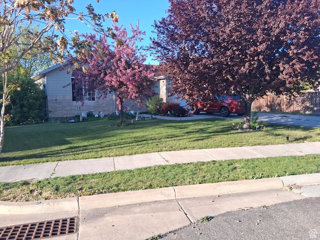 2434 W 2250 N, Clinton, UT 84015 - view of yard