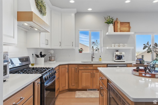 1147 N Carriage Ln, Spanish Fork, UT 84660 - kitchen featuring a sink, premium range hood, stainless steel appliances, recessed lighting, and light wood-style flooring