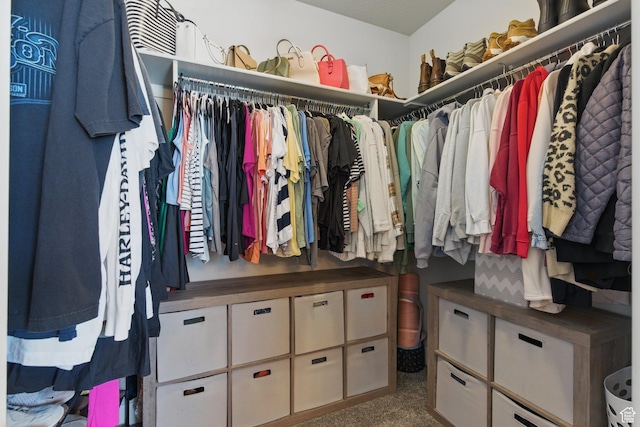 1147 N Carriage Ln, Spanish Fork, UT 84660 - view of spacious closet
