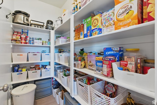 1147 N Carriage Ln, Spanish Fork, UT 84660 - view of storage area