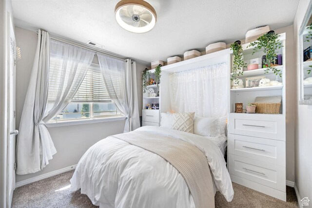 929 W 670 S Unit 8, Pleasant Grove, UT 84062 - bedroom featuring carpet floors, baseboards, and visible vents