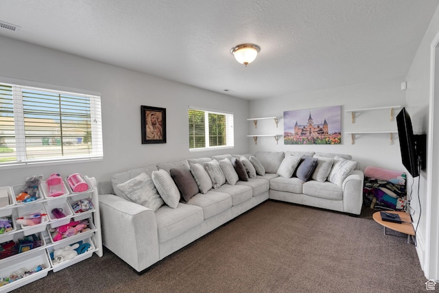 carpeted living area featuring visible vents and a textured ceiling