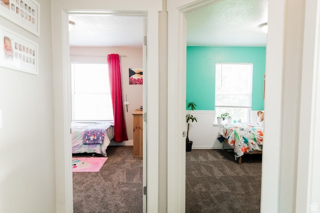 4866 W Spirit Lake Cir, Riverton, UT 84096 - corridor with carpet floors, a textured ceiling, a healthy amount of sunlight, and a wainscoted wall