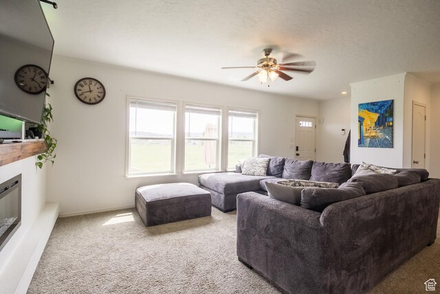 610 S Trout Dr, Manila, UT 84046 - photo 6