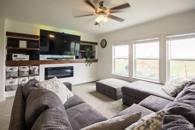 610 S Trout Dr, Manila, UT 84046 - photo 5