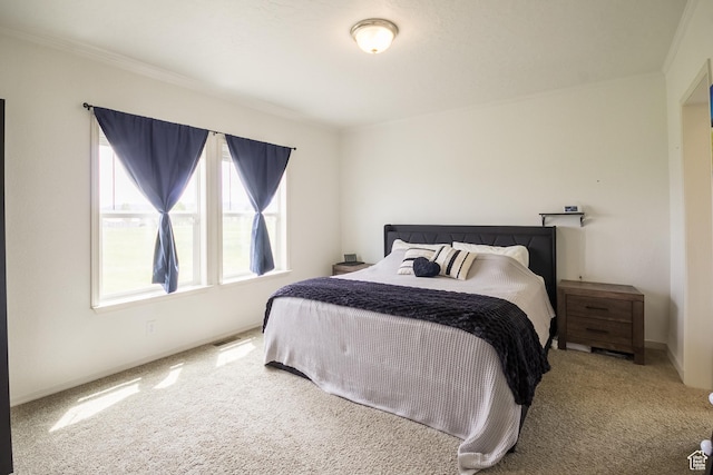 610 S Trout Dr, Manila, UT 84046 - photo 11