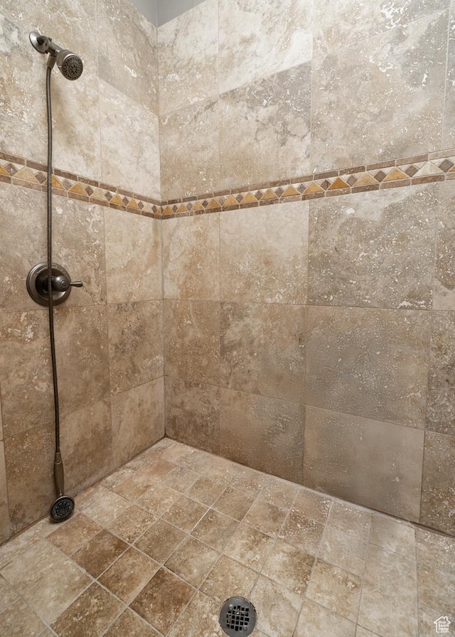 486 N 3500 W, Vernal, UT 84078 - room details with tiled shower