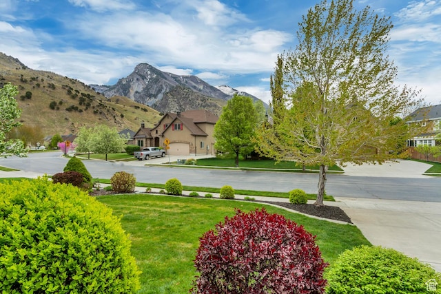 view of yard with a mountain view