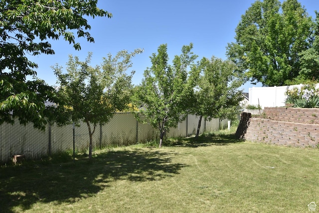 183 E Ama Fille Ln N, Elk Ridge, UT 84651 - view of yard