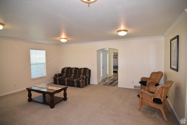 183 E Ama Fille Ln N, Elk Ridge, UT 84651 - living area featuring arched walkways, crown molding, carpet flooring, and baseboards
