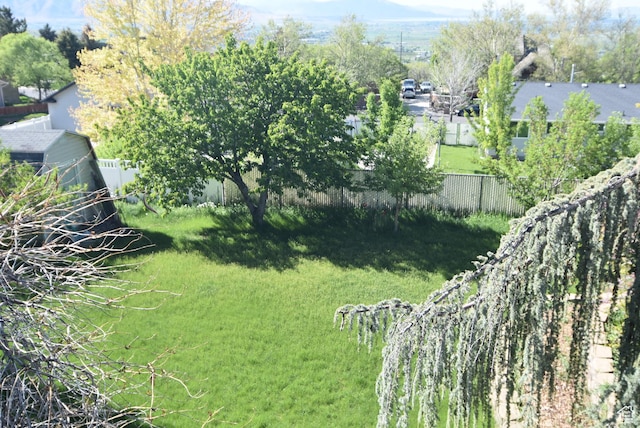 183 E Ama Fille Ln N, Elk Ridge, UT 84651 - view of yard