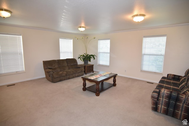 183 E Ama Fille Ln N, Elk Ridge, UT 84651 - living area featuring crown molding, carpet flooring, baseboards, and plenty of natural light