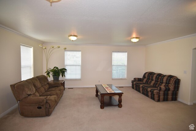 183 E Ama Fille Ln N, Elk Ridge, UT 84651 - carpeted living area with crown molding and baseboards