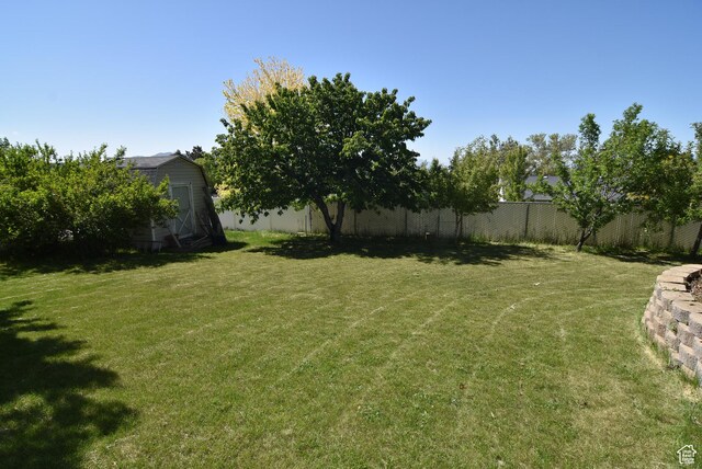 183 E Ama Fille Ln N, Elk Ridge, UT 84651 - view of yard
