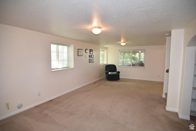 183 E Ama Fille Ln N, Elk Ridge, UT 84651 - unfurnished room with carpet, plenty of natural light, a textured ceiling, and baseboards