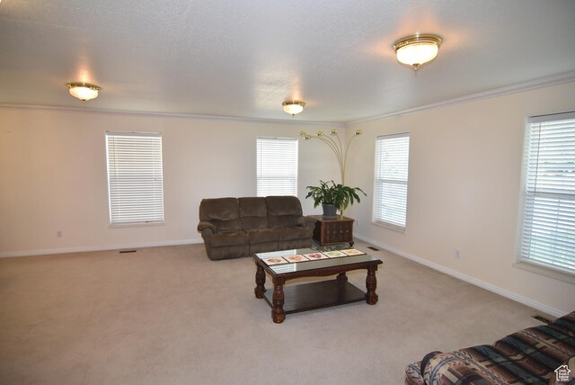 183 E Ama Fille Ln N, Elk Ridge, UT 84651 - living area featuring ornamental molding, light colored carpet, healthy amount of natural light, and baseboards