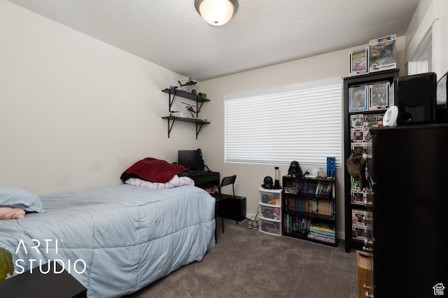 2034 E 970 N, Spanish Fork, UT 84660 - view of carpeted bedroom