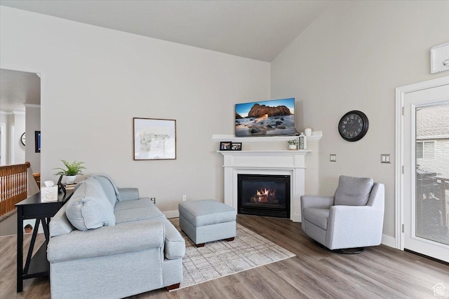 living area featuring wood finished floors, baseboards, a glass covered fireplace, and high vaulted ceiling