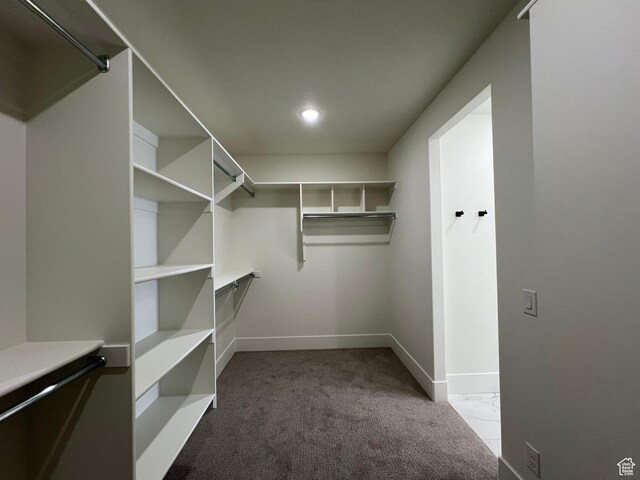 1148 N 1875 E Unit 2, Layton, UT 84040 - spacious closet with carpet