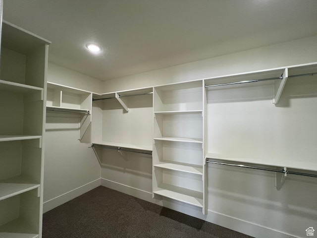1148 N 1875 E Unit 2, Layton, UT 84040 - spacious closet with dark carpet