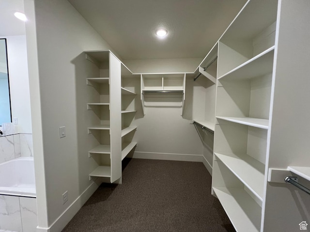 1148 N 1875 E Unit 2, Layton, UT 84040 - walk in closet with dark carpet