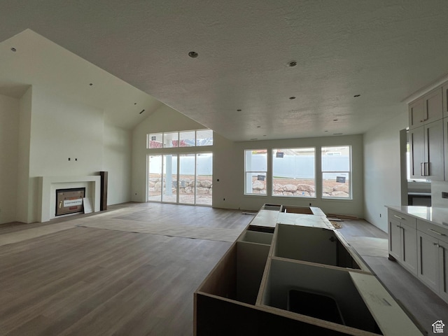 1148 N 1875 E Unit 2, Layton, UT 84040 - kitchen featuring open floor plan, light wood-style floors, a fireplace, a textured ceiling, and high vaulted ceiling