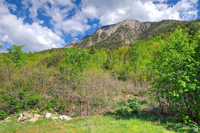 4695 S Thousand Oaks Dr, Salt Lake City, UT 84124