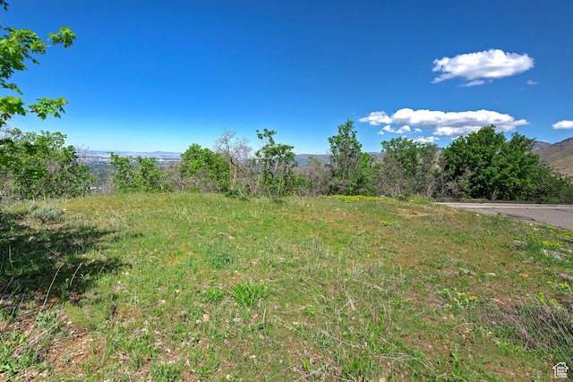 4695 S Thousand Oaks Dr, Salt Lake City, UT 84124