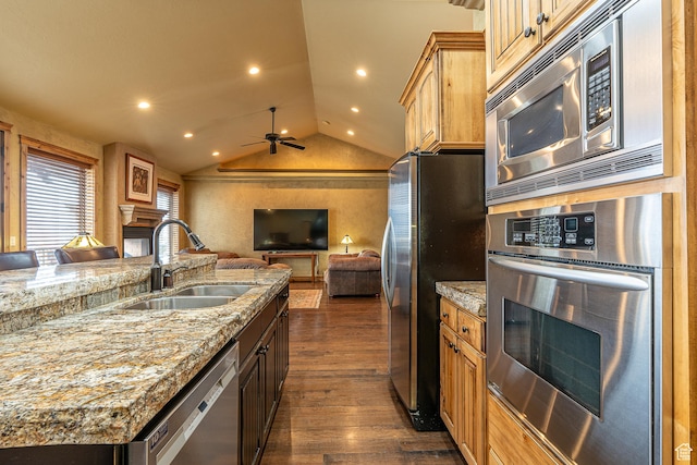 kitchen with a sink, stainless steel appliances, dark wood finished floors, vaulted ceiling, and a fireplace