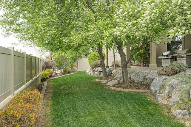 view of yard with an outdoor kitchen and a fenced backyard