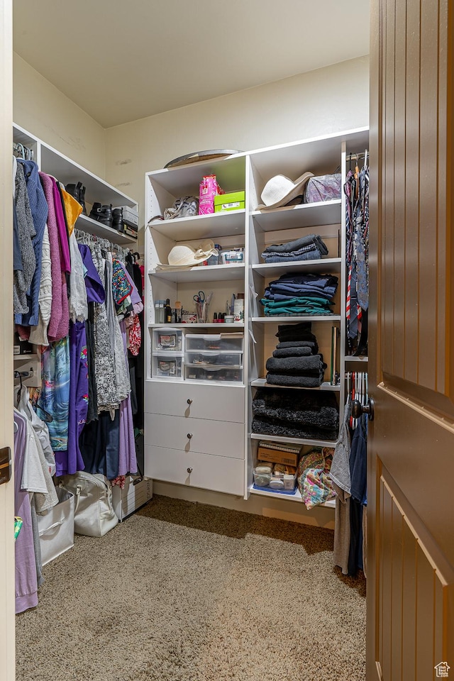 walk in closet featuring carpet flooring