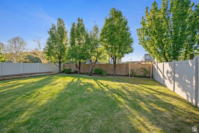 view of yard featuring a fenced backyard