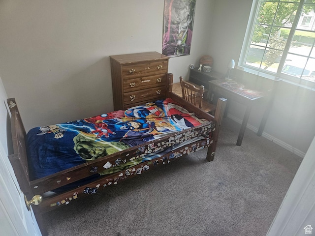 847 W 250 N, Spanish Fork, UT 84660 - view of carpeted bedroom