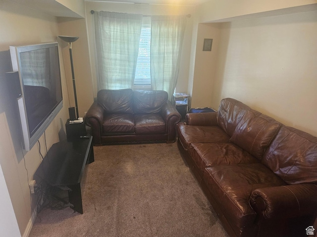 847 W 250 N, Spanish Fork, UT 84660 - view of carpeted living area