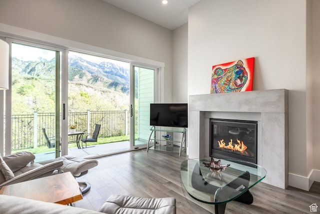 9293 S Regatta Ln, Cottonwood Heights, UT 84093 - living area with recessed lighting, wood finished floors, and a high end fireplace