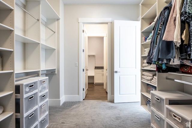9293 S Regatta Ln, Cottonwood Heights, UT 84093 - spacious closet with carpet flooring