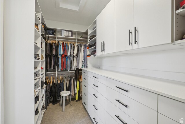 11332 N White Tail Ct Unit 30, Hideout, UT 84036 - spacious closet with light carpet