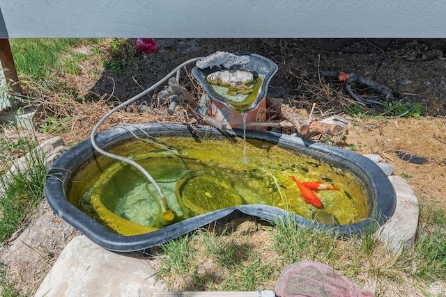 exterior details with a small pond