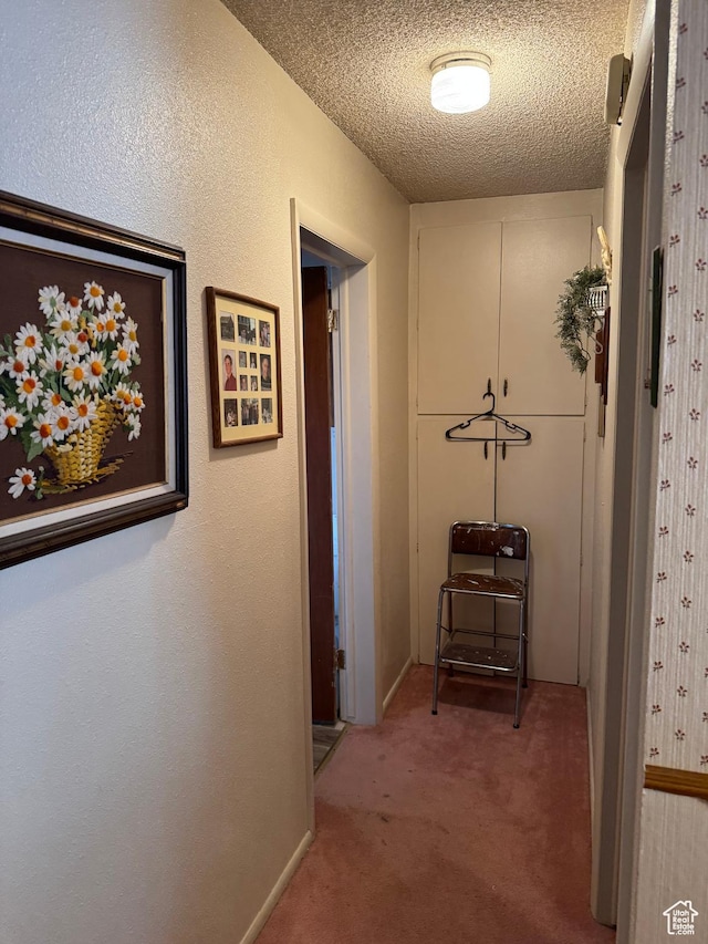 88 N 200 W, Elsinore, UT 84724 - corridor with light carpet and a textured ceiling