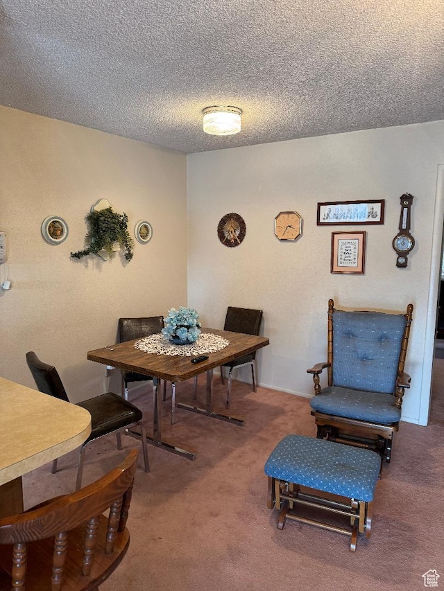 88 N 200 W, Elsinore, UT 84724 - carpeted dining space with a textured ceiling