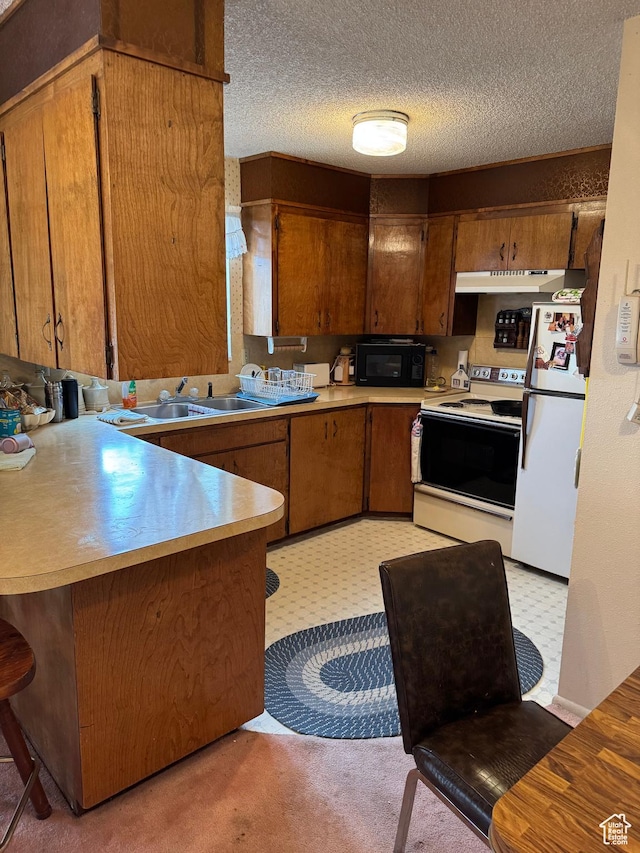 88 N 200 W, Elsinore, UT 84724 - kitchen with a sink, brown cabinetry, white appliances, under cabinet range hood, and light countertops