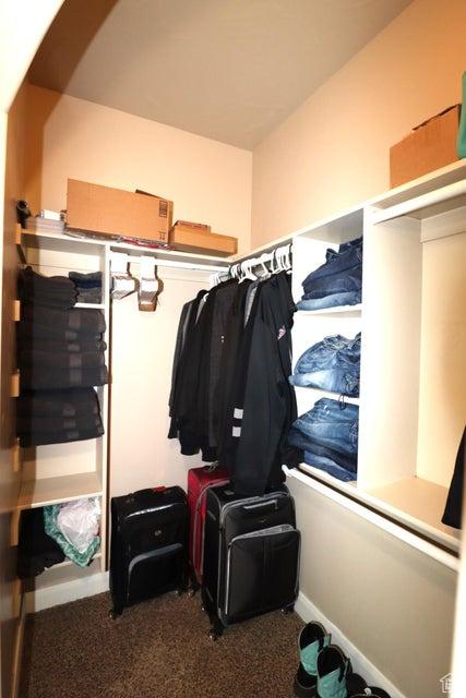 walk in closet with carpet flooring