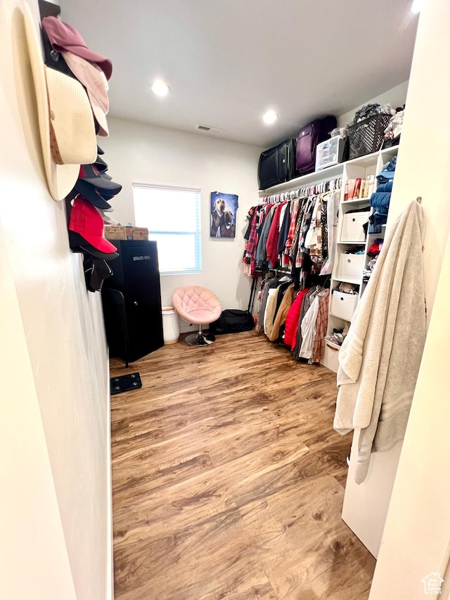 954 N 280 E, Elsinore, UT 84724 - walk in closet with visible vents and wood finished floors