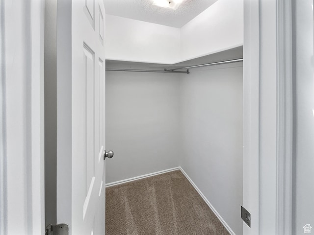 1303 N Riverside Ave Unit 32, Provo, UT 84604 - walk in closet with carpet