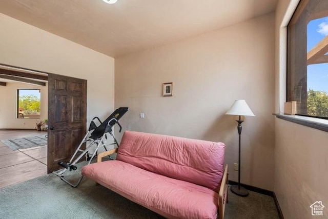 1151 W Shawnee Ct, Ivins, UT 84738 - sitting room with carpet