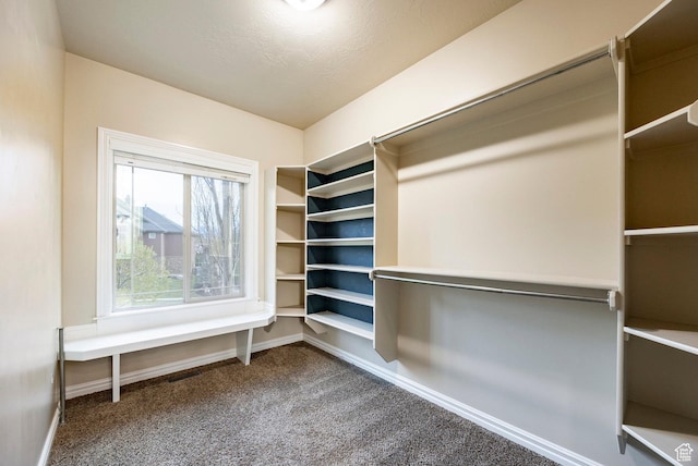 3440 Greenfield Cir, Mountain Green, UT 84050 - spacious closet with dark carpet