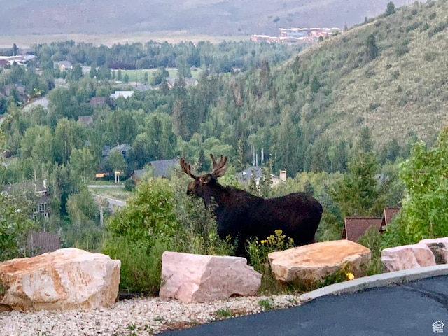 7515 Stagecoach Dr, Park City, UT 84098 - view of mountain backdrop with a heavily wooded area