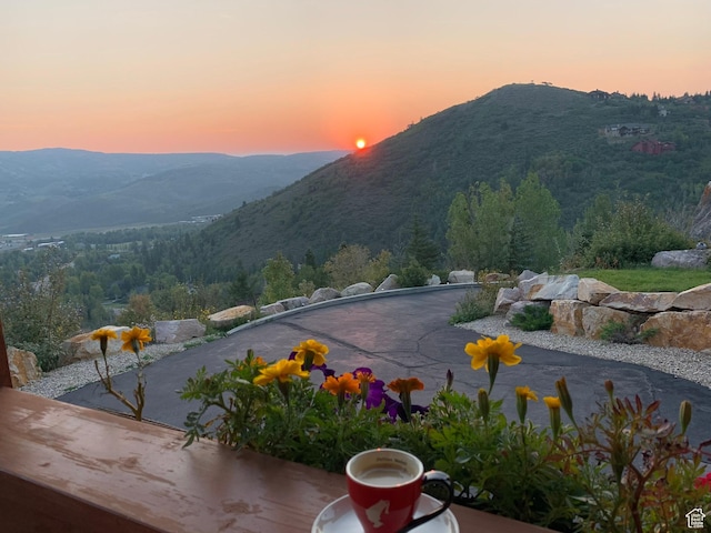 7515 Stagecoach Dr, Park City, UT 84098 - mountain view